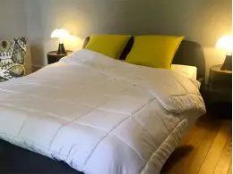 "Bégonia"